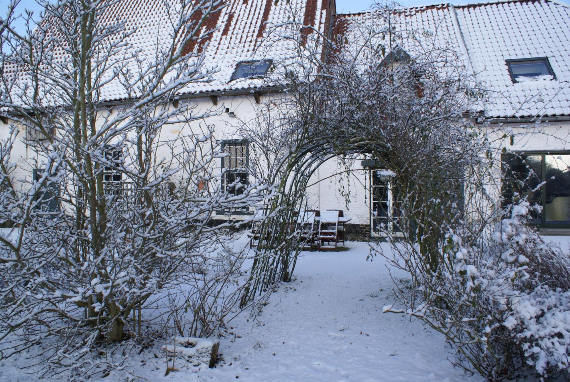 B&B De Metstermolen Синт-Тройден Екстериор снимка